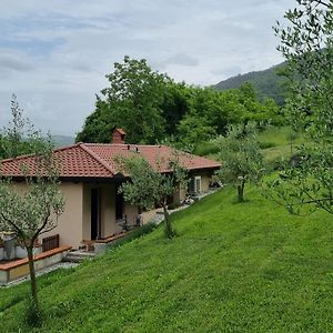 Apartmán Zelkonn House Branik Exterior photo