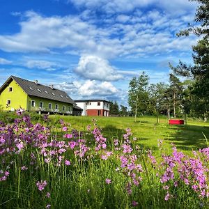 Apartmán Penzion Kozí zámek Horažďovice Exterior photo