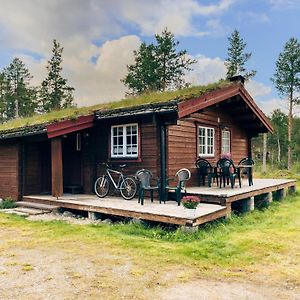 Ryen Hytteutleie - Cottages Røros Exterior photo