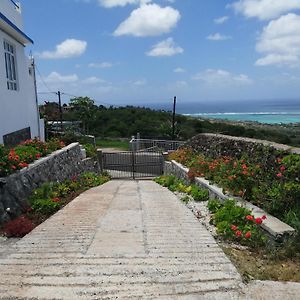 Vila O Bercail Du Sud-Hibiscus Chez Jeannette Saint Gabriel Exterior photo