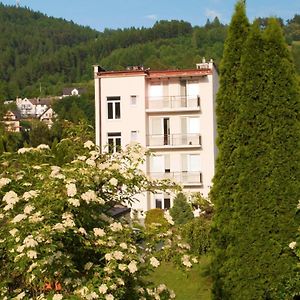 Hotel Osrodek Wczasowy Krasniczanka Muszyna Exterior photo