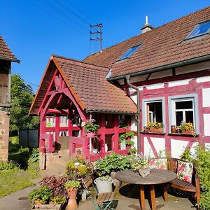 Apartmán Schlaf Mal Im Denkmal Birstein Exterior photo