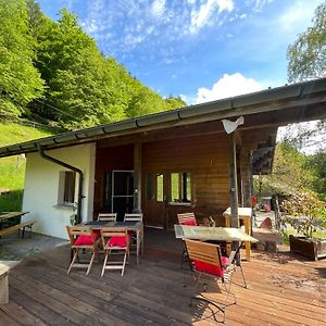 Apartmán Zimmer Mit Zwei Einzelbetten Im Chalet Milital Innertkirchen Exterior photo