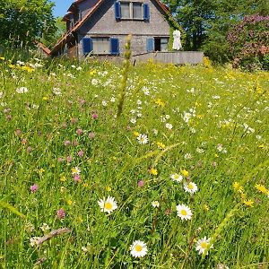 Vila Rhoener Landhaus Mit Viel Flair Gersfeld Exterior photo