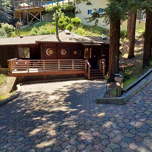 Vila Redwood Retreat Walk To Downtown Mt Tam Muir Woods Mill Valley Exterior photo