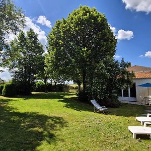 Bed and Breakfast Le Pied Du Chene Grézac Exterior photo