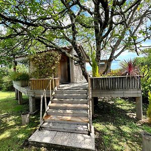 Cabane En Bois Climatisee Fronsac  Exterior photo