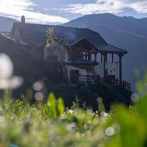 Vila Alpin Zeneli Chalet Cerem Exterior photo