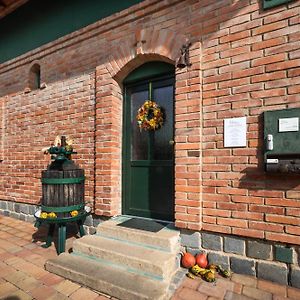 Hotel Penzion Vinařství Tomanovi Moravská Nová Ves Exterior photo