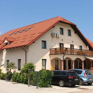 Apartments Vila Leska Zgornji Leskovec Exterior photo