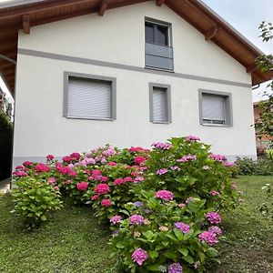 Apartmán Casanobile "Il Grano" Merate Exterior photo