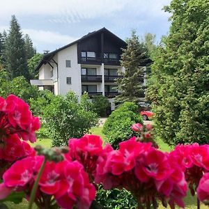 Hotel Landhaus Am Forst Bad Alexandersbad Exterior photo