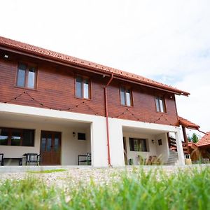 Hotel Cabana Valea Popii Sita Buzăului Exterior photo