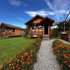 Vila Baltina Parc Transfagarasan Curtea de Argeş Exterior photo