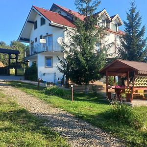 Hotel Pensiunea Iza Bradu  Exterior photo