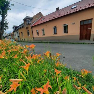 Hotel Kis Rigo Vendeghaz Salgótarján Exterior photo