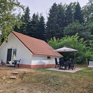 Vila Mon Chalet En Ariege Avec Piscine Daumazan-sur-Arize Exterior photo