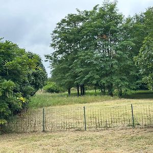 Vila Domain De Montvert - 5 Min From Saint Emilion Sainte-Terre Exterior photo