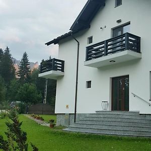 Hotel Casa Irina Durău Exterior photo