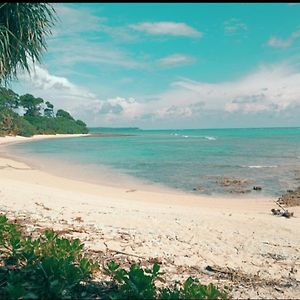 Hotel Mallick Palace Neil Island South Andaman Exterior photo