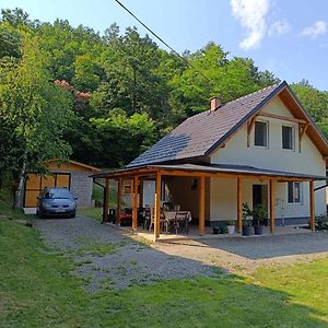 Vila Kuca Za Odmor Kekec Fruska Gora Beocin Exterior photo