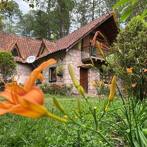 Vila El Chalet Valle de Ángeles Exterior photo