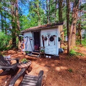 Vila The Stabbin Cabin On Grant Island, Brantingham Lake - Hottub, Boat, Pet Friendly Glenfield Exterior photo