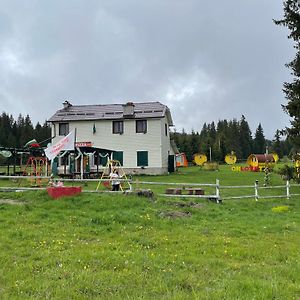 Hotel Еко Спа Вила Орловецъ Batak Exterior photo