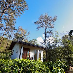 Hotel The Green Lush Pussellawa Exterior photo