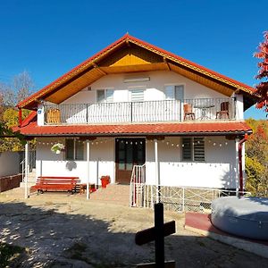 Hotel Casa Nib Călimăneşti Exterior photo