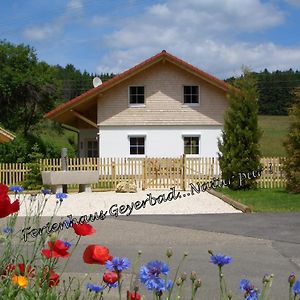 Vila Ferienhaus Geyerbad Messstetten Exterior photo