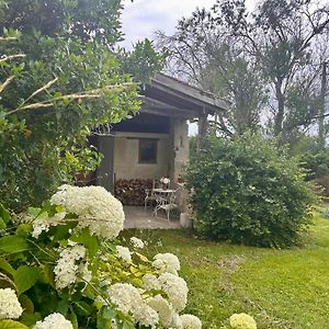 Bed and Breakfast Pedauge Moncrabeau Exterior photo