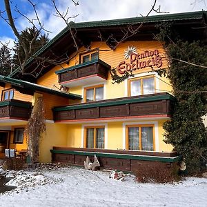 Pension Edelweiss Mitterberg Exterior photo