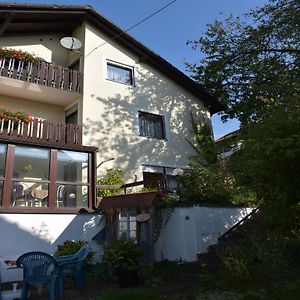 Hotel Gaestehaus Am Schlossberg Friedenfels Exterior photo