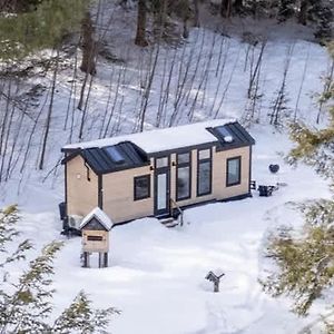 Vila Thistle House At Camp Greenwood Vermont With Sauna Chester Exterior photo