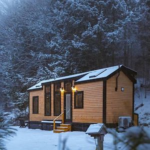 Vila Sage House At Camp Greenwood Vermont With Sauna Chester Exterior photo