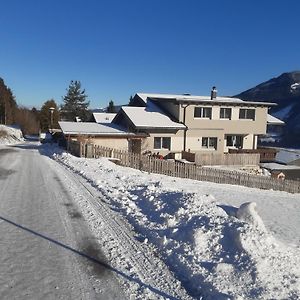 Apartmán Haus Anneliese Grobming Exterior photo