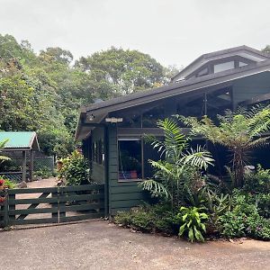 Riflebird Lodge Topaz Exterior photo