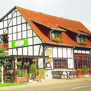 Hotel Pension Waldblick Grillenberg  Exterior photo