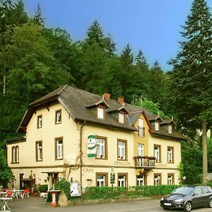 Hotel Pension Waldheim Freiburg im Breisgau Exterior photo