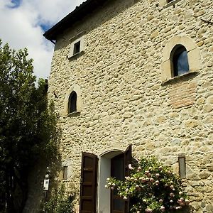 Vila Borgo Fontanini Zocca Room photo