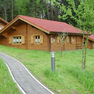 Vila Blockhaus Bayerischer Wald Stamsried Exterior photo