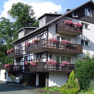 Vila Ferienhaus Hedrich Assinghausen Exterior photo