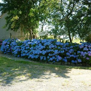 Bed and Breakfast La Parisiere Gavray-sur-Sienne Exterior photo