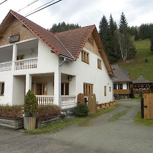 Hotel Pensiunea Irina Botus Exterior photo