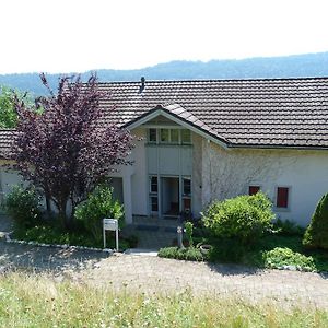 Bed and Breakfast Bnb Goldberg Schmerikon Exterior photo