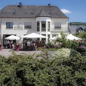 Hotel Gaestehaus Und Weingut Bernd Frieden Nittel Exterior photo