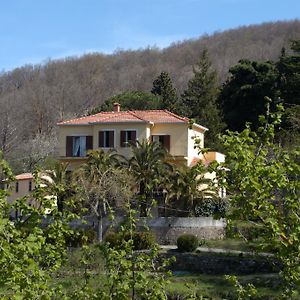 Vila Valle Maira, Agriturismo Nel Parco Dei Nebrodi Tortorici Exterior photo