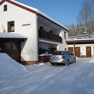 Apartmán Haus Steinwaldblick Bernlohe  Exterior photo