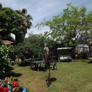 Penzion Zimmer In The Garden Karmiel Exterior photo